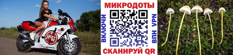 Галлюциногенные грибы Cubensis  Купить  Нижняя Салда 